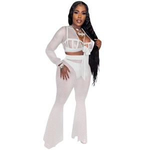 Detail view of white sheer mesh crop top and pearl embellished wide-leg trousers set