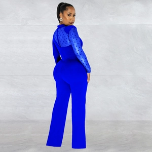 Detail of blue sheer polka dot mesh long sleeves and stand-up collar on a jumpsuit