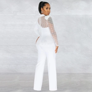 Detail view of white jumpsuit with sheer polka dot mesh sleeves and high neck collar
