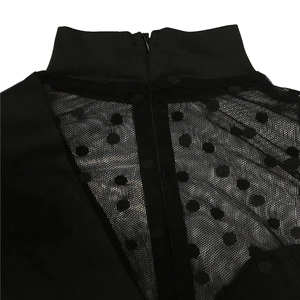 Detail of the high neck ribbed collar and sheer mesh fabric with elegant polka dots