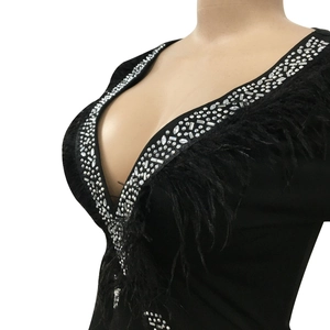 Detail of deep V-neckline with silver rhinestones and black feather trim on dress