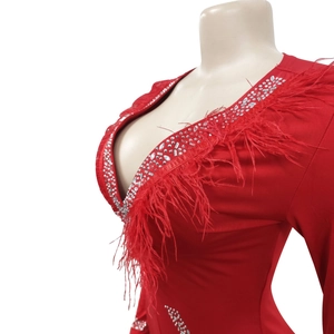 Detailed view of red deep V-neck jumpsuit with silver rhinestones and feather trim