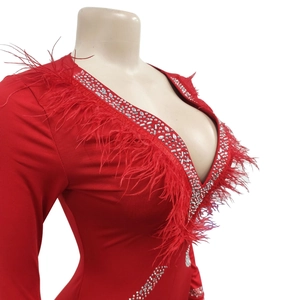 Detail of red deep V-neck dress with dense silver rhinestones and luxury feather trim