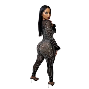 Close-up of sheer mesh jumpsuit with sparkling silver rhinestones and black feather cuffs