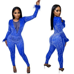 Detail of royal blue jumpsuit with rhinestones, mesh V-neck and feathered cuffs