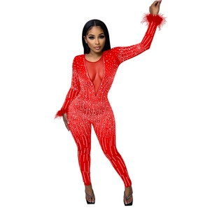 Detail of red mesh V-neck jumpsuit with shimmering rhinestones and feather cuffs