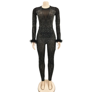 Detail of mesh bodysuit with silver rhinestones and black feather cuffs in close-up view