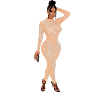 Detailed view of sheer mesh jumpsuit with silver rhinestones and high-neck long sleeves