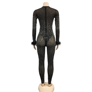 Detail of sheer mesh jumpsuit with silver rhinestones and black feather cuffs