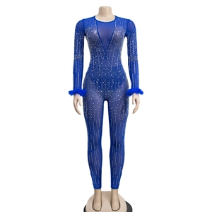 Detail of dark blue mesh jumpsuit with silver rhinestones and feather cuffs on sleeves