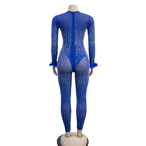 Detail of royal blue mesh jumpsuit featuring silver rhinestones and feather cuffs on back