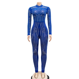 Detail of royal blue mesh jumpsuit with silver rhinestones in geometric patterns