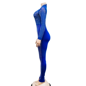 Detail view of a blue mesh jumpsuit with vertical silver rhinestone stripes and high neck
