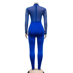 Detail of royal blue jumpsuit showing mesh back and intricate rhinestone patterns