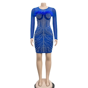 Close-up of royal blue mesh sleeves and detailed rhinestone patterns on dress