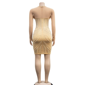 Detailed back view of mesh mini dress featuring intricate white pearls and rhinestone patterns