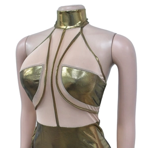 Close-up of sleeveless short dress with metallic gold and nude mesh paneling