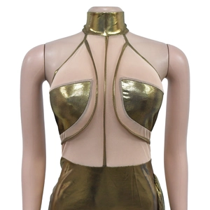 Detail of golden metallic bodysuit with sheer mesh panels and mock neck design