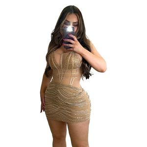 Detail shot of champagne mesh mini dress featuring shimmering rhinestones and crystals