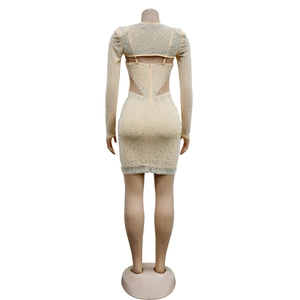 Detailed back view of champagne mesh dress with silver rhinestones and open back design