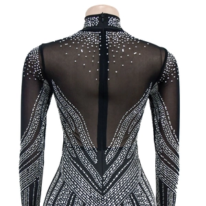 Detail of sheer black mesh bodysuit featuring silver rhinestones and a hidden back zipper