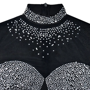Close-up of black mock neck mesh dress featuring rhinestone patterns and back zipper