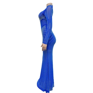 Dettaglio dell'abito lungo in rete blu reale con strass argento e maniche lunghe