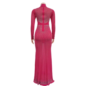 Dettaglio dell'abito in mesh rosa acceso con strass argentati verticali e maniche lunghe