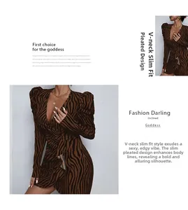 Detail showing deep V-neckline and ruched waist of zebra print long sleeve dress