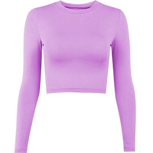 Slim fit lavender long sleeve crop top with ribbed texture and classic crew neck