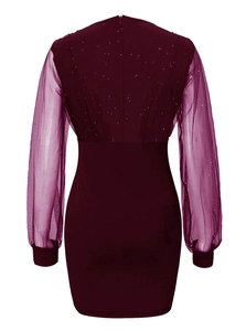 Close-up of the burgundy dress back showing mesh sleeves with silver sequins and hidden zipper