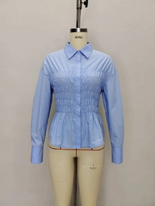Hellblaue Langarmbluse mit geraffter Taille und klassischem Reverskragen für Damen