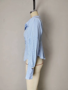 Detail of blue striped shirt showing waist-defining pleated design and long sleeves