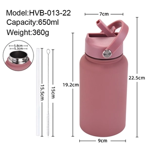Morandi pink 650ml stainless steel insulated sport bottle with straw and handle