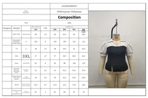 Detailed size chart for striped short sleeve top with measurements for 1XL to 4XL sizes
