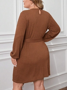 Caramel brown plus size knit dress with lantern sleeves and belted waist in a wavy texture