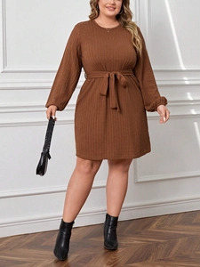 Plus size brown long sleeve A-line dress with crew neck and waist tie for office