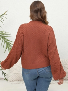 Detailed back view of a brick red knit sweater with textured lattice pattern and lantern sleeves
