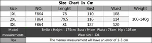 Detaillierte Größentabelle in cm für Mesh-Kleid in Übergröße mit Maßen von 1XL bis 3XL