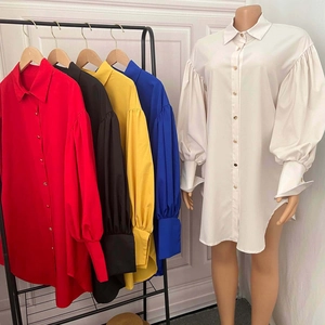 Detail of puffed sleeves and classic button-down collar on long sleeve shirt dress