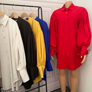 Detail of puffed lantern sleeves and button-down collar on long sleeve shirt dress