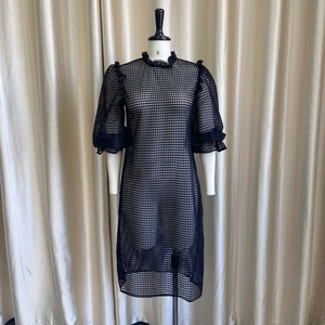 Detail of sheer black mesh dress featuring puff sleeves and a ruffled high neckline