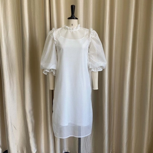 Detail view of white sheer mesh dress with high neck ruffle and retro puff sleeves