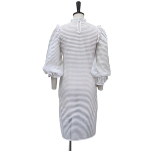 Detail of white hollow-out mesh dress featuring lantern sleeves and back water drop closure