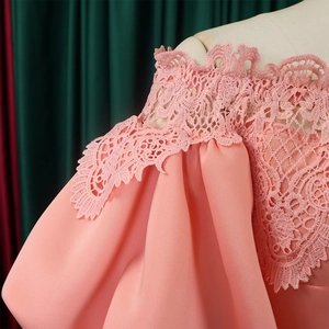 Detail of pink off-shoulder neckline with intricate lace embroidery and lantern sleeves