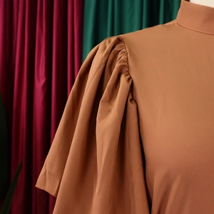 Detail of puffed sleeve with pleated shoulder on a brown waist-cinching fashion dress