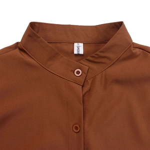 Detail of mandarin collar and button placket on ginger brown cotton flared sleeve dress