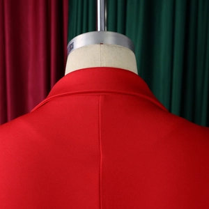 Macro shot of red blazer dress rear collar seam and high-quality fabric texture
