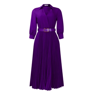 Detail of V-neck long sleeve dress featuring fine pleats and a gold buckle belt