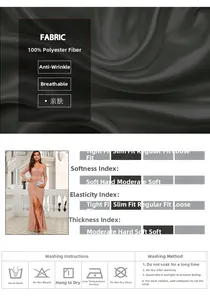 Detail view of champagne evening dress fabric composition and washing care instructions